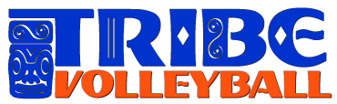 Virginia Tribe Volleyball Logo